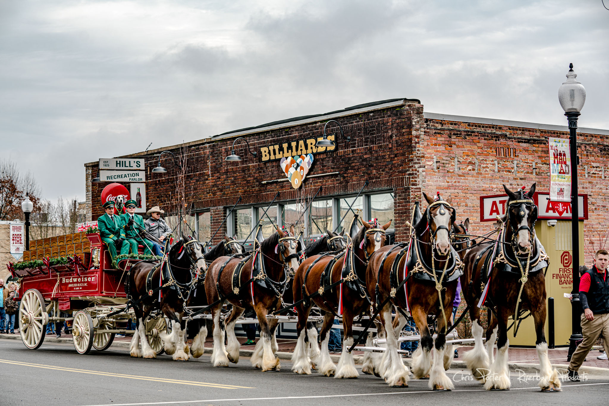 Budweiser Clydesdale Delivery