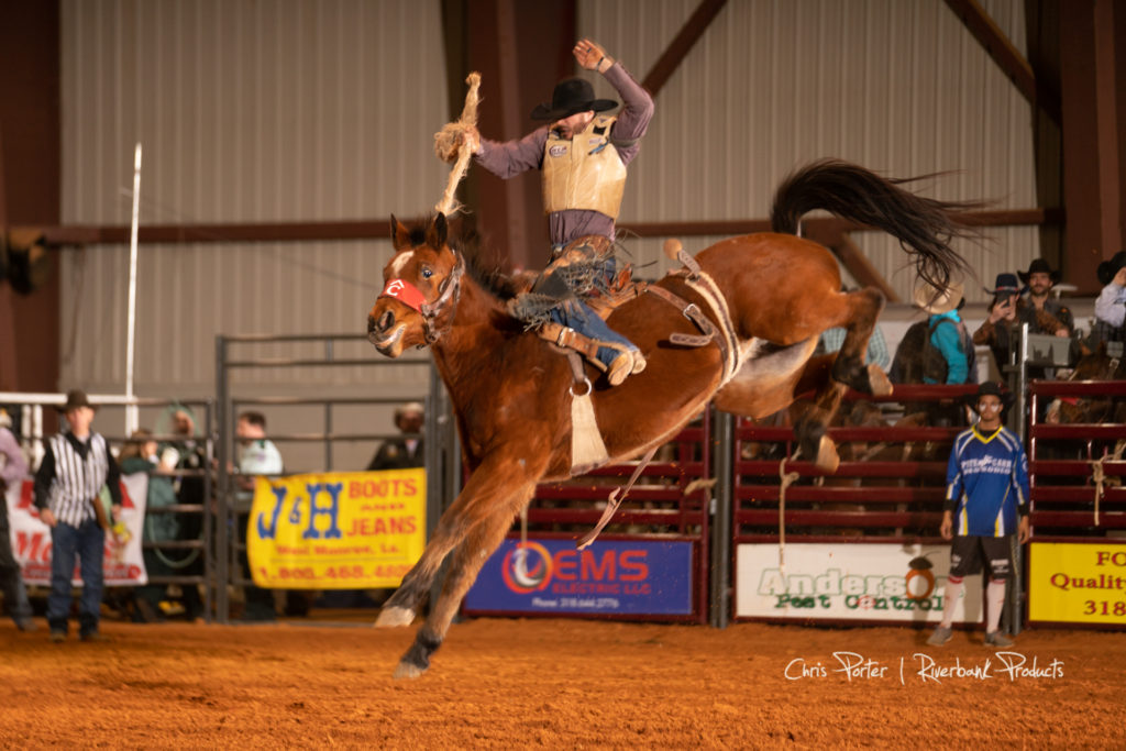 Rodeo Saddle Bronc