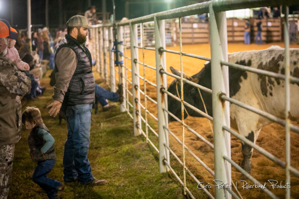 Father stares at rodeo bull while ushering child behind him.